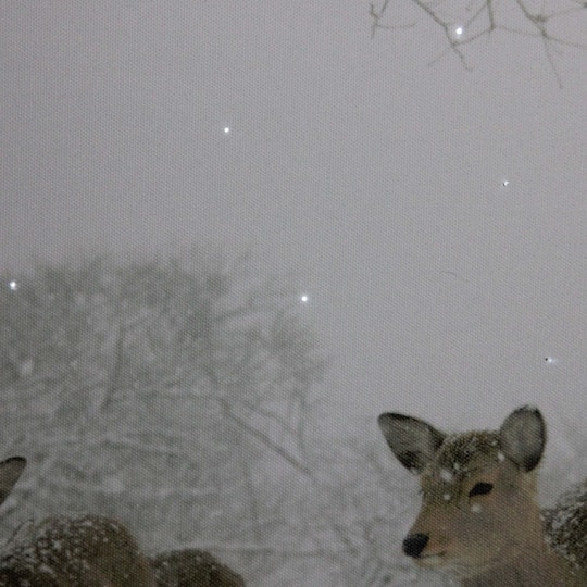 Winter Woods Deer Fiber Optic Lighted Canvas Wall Art